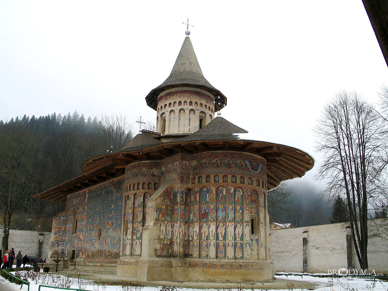 Voronet